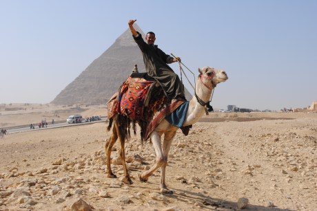 Camel rides at the pyramids of Giza