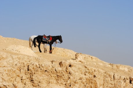 Break time at the pyramids